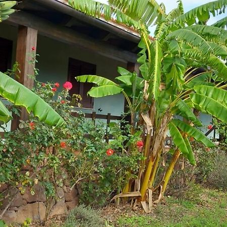 Agriturismo Su Tiresi Cala Gonone Bagian luar foto