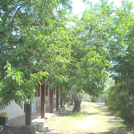 Agriturismo Su Tiresi Cala Gonone Bagian luar foto