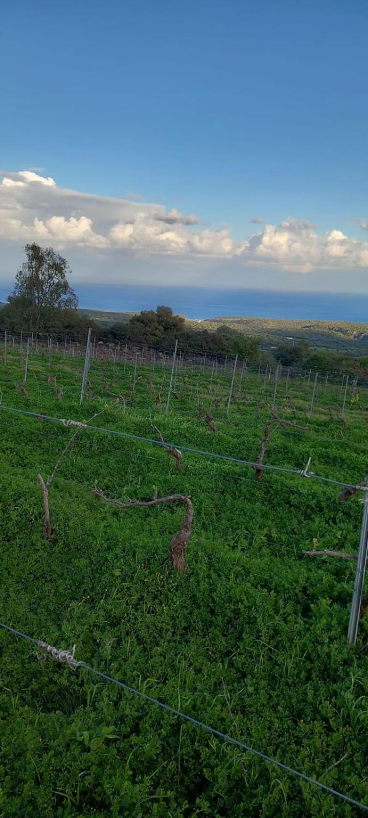 Agriturismo Su Tiresi Cala Gonone Bagian luar foto