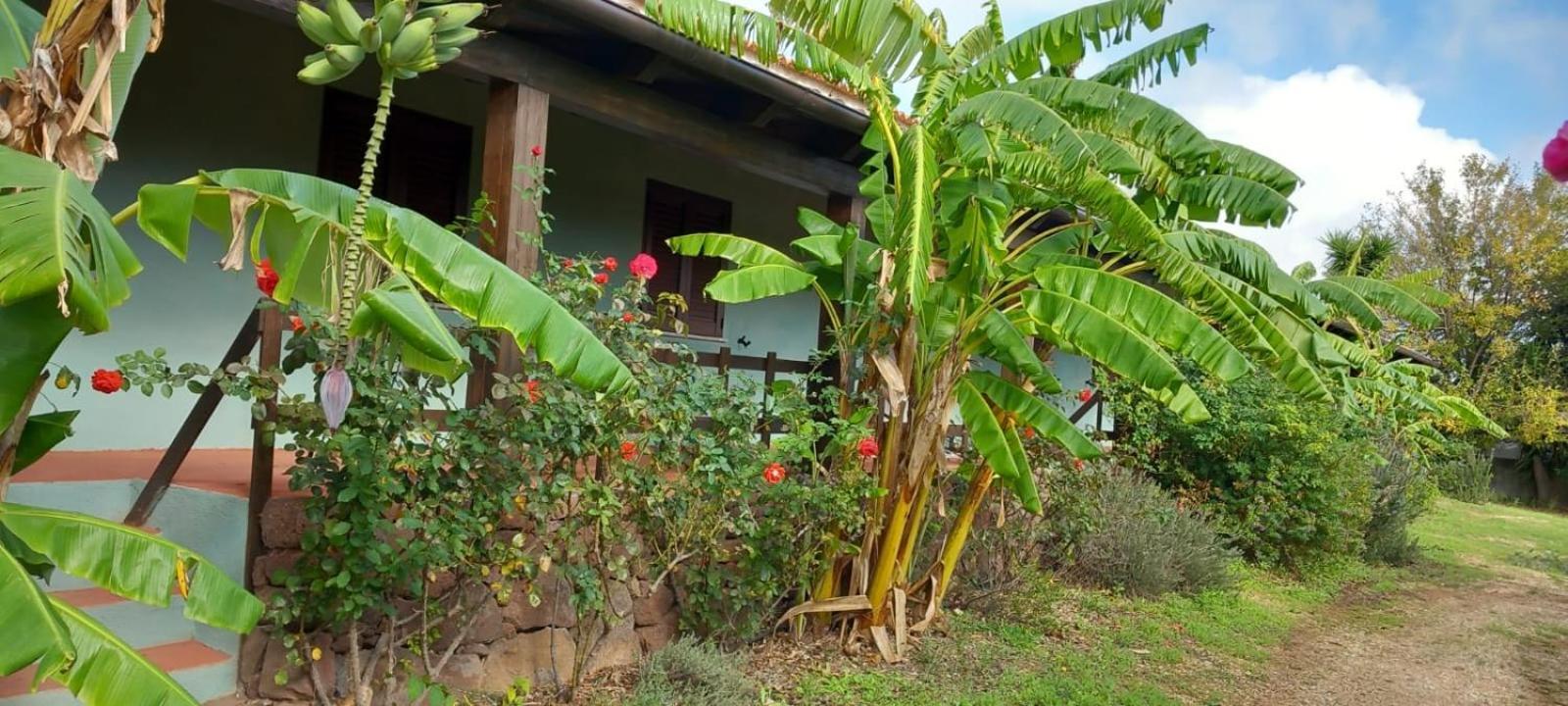 Agriturismo Su Tiresi Cala Gonone Bagian luar foto