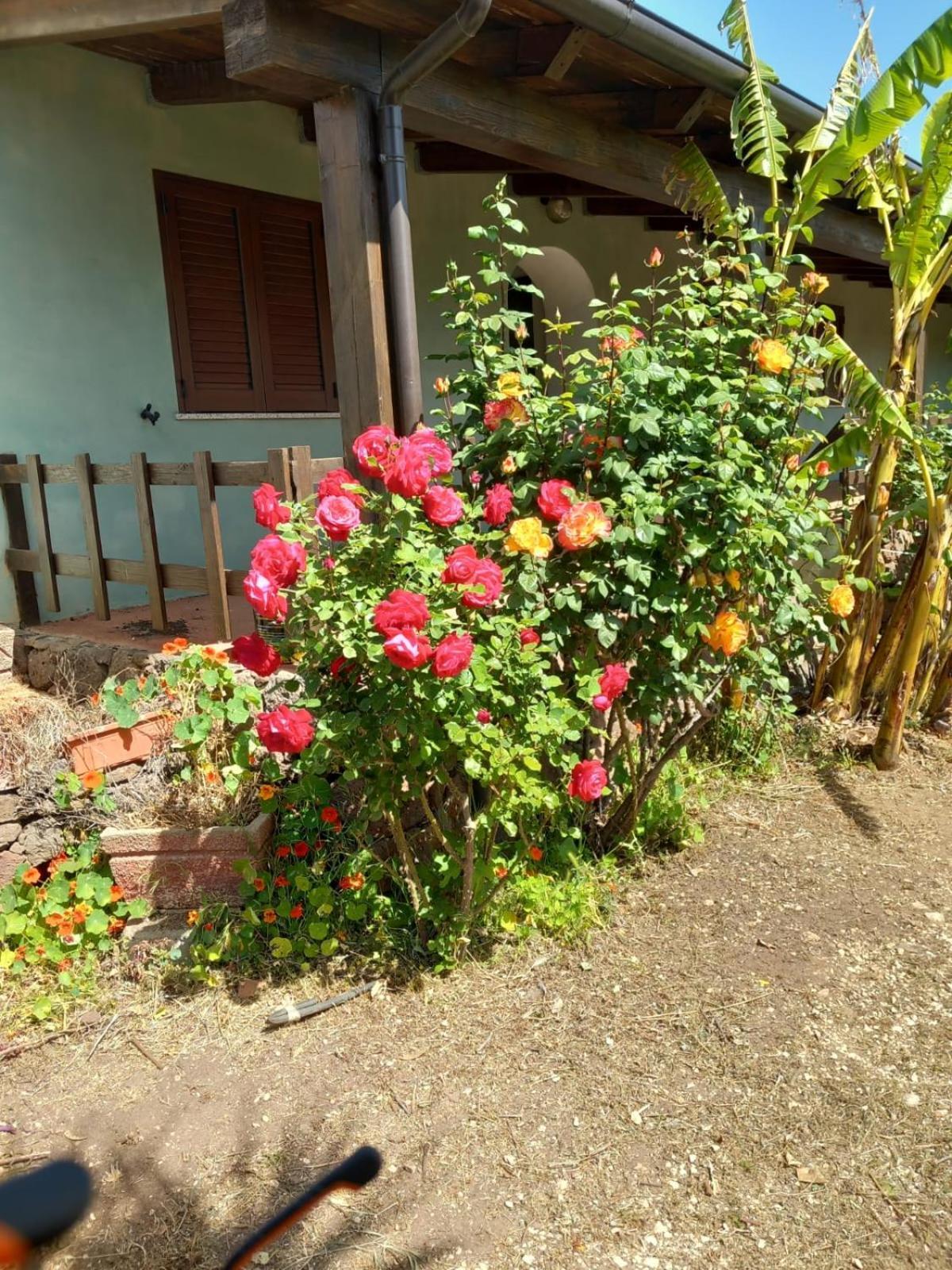 Agriturismo Su Tiresi Cala Gonone Bagian luar foto