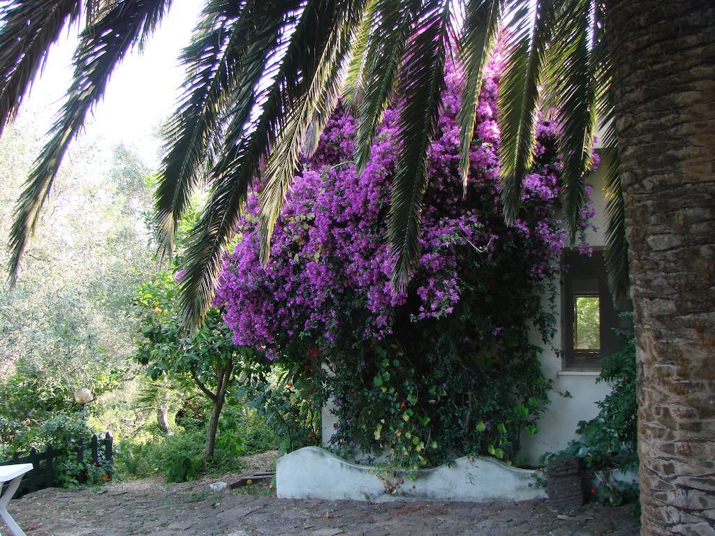 Agriturismo Su Tiresi Cala Gonone Bagian luar foto