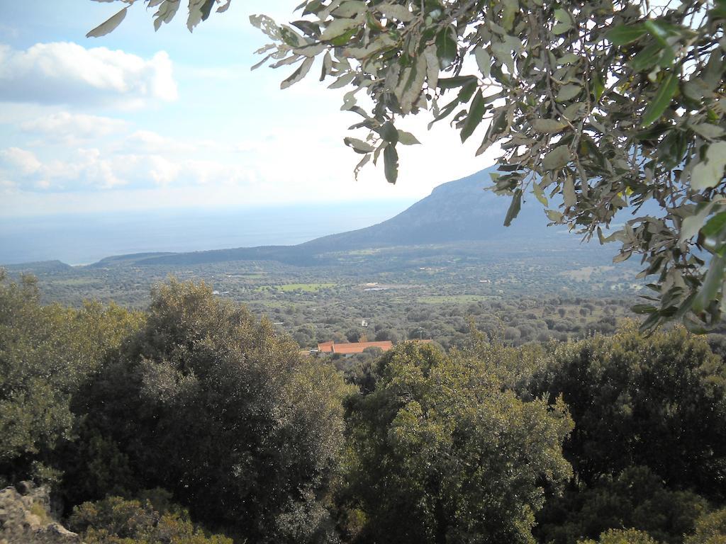 Agriturismo Su Tiresi Cala Gonone Bagian luar foto