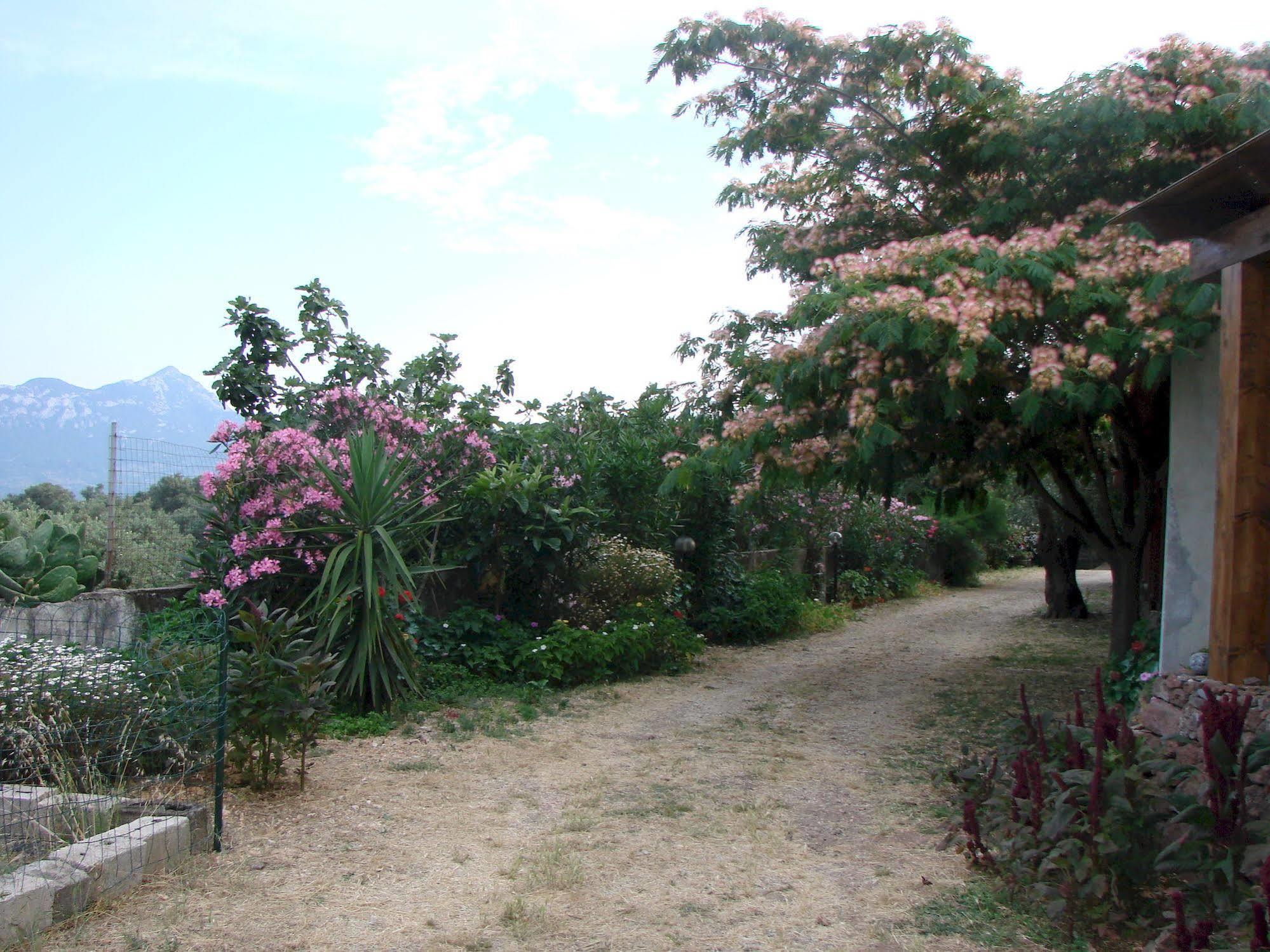Agriturismo Su Tiresi Cala Gonone Bagian luar foto
