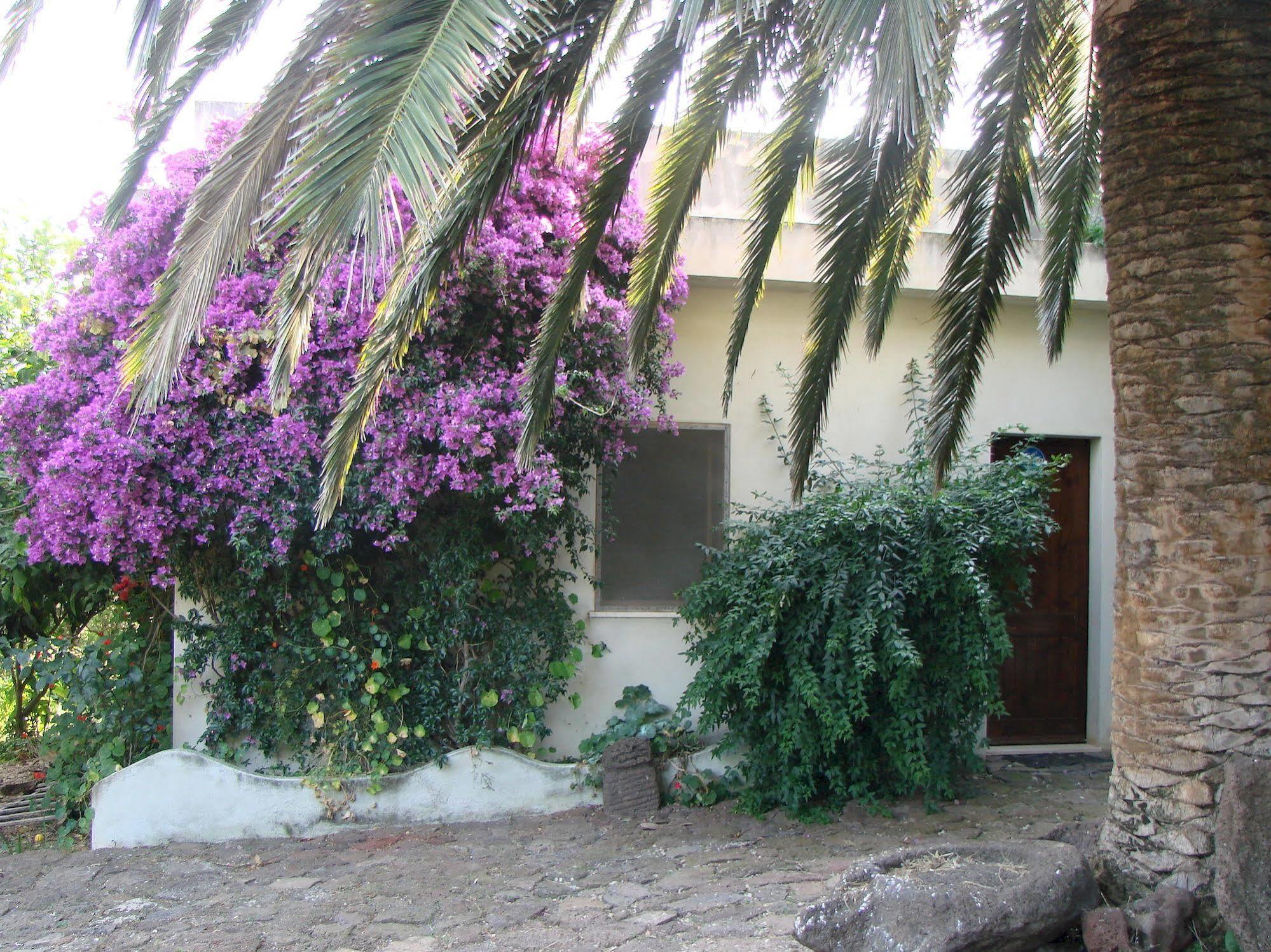 Agriturismo Su Tiresi Cala Gonone Bagian luar foto