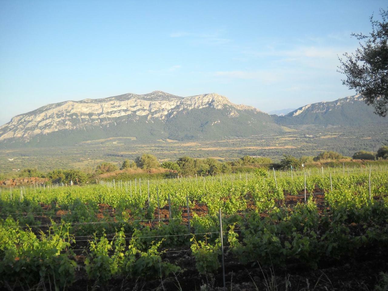 Agriturismo Su Tiresi Cala Gonone Bagian luar foto